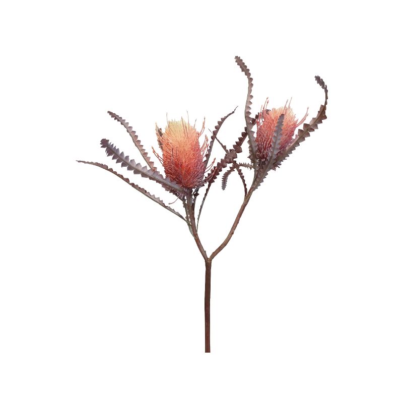 Orange Banksia by 2 - 73cm x 17cm