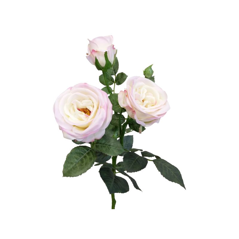 Light Pink Sabrina Rose Spray - 66cm