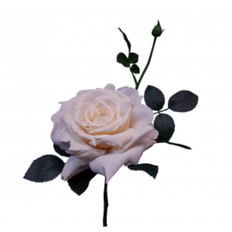 Cream Quiannie Rose - 35cm