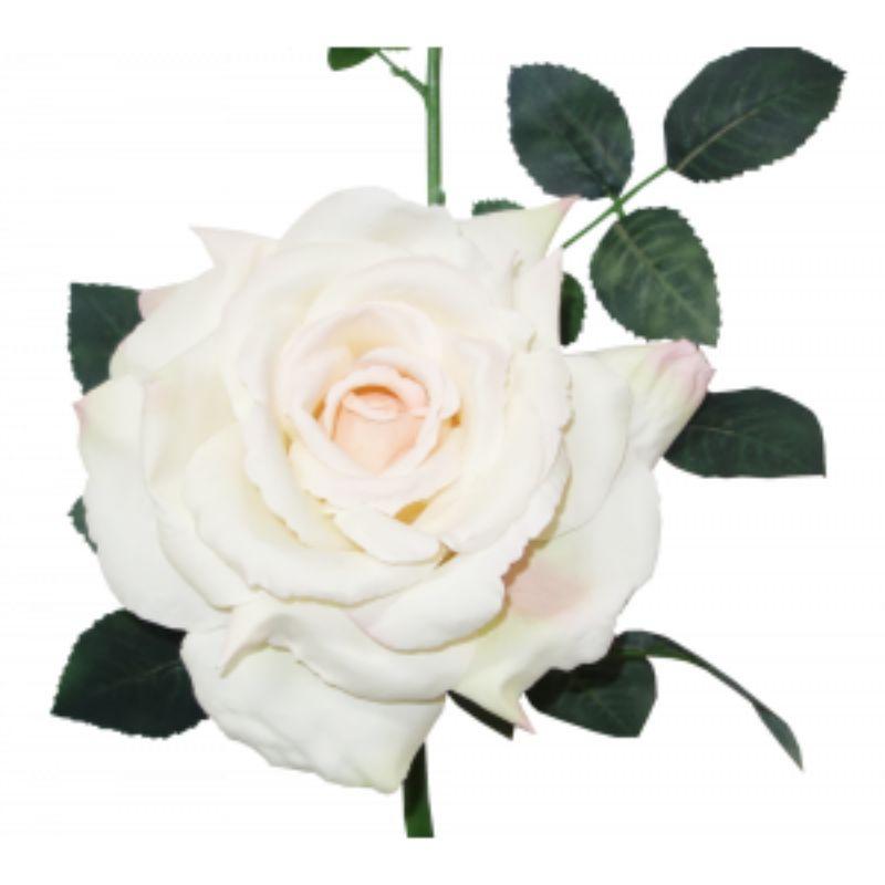 Cream Quiannie Rose - 35cm