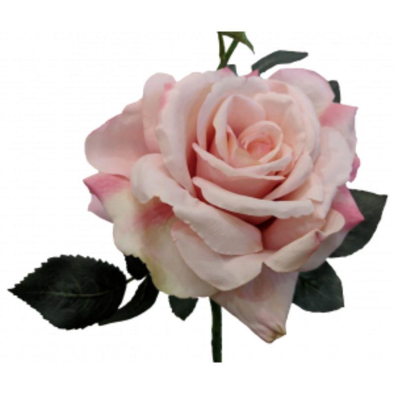 Light Pink Quiannie Rose - 35cm