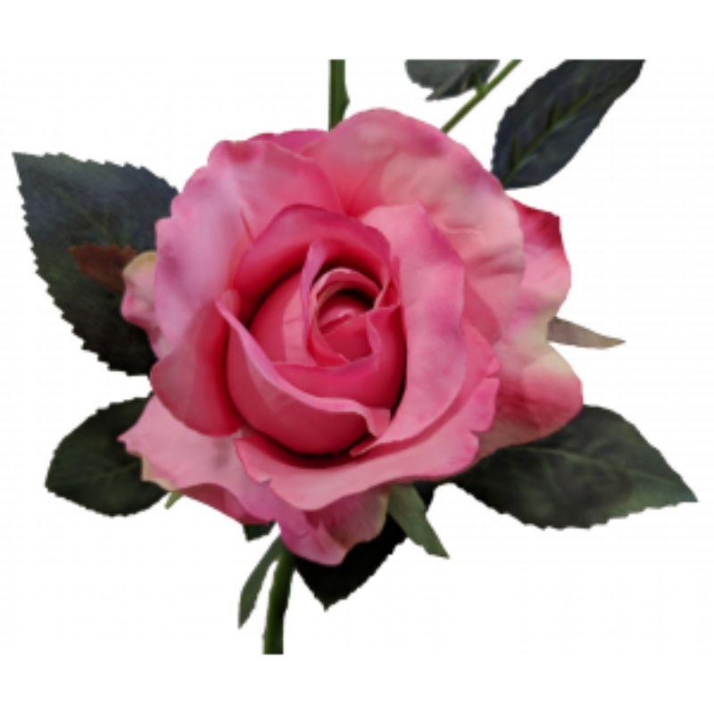 Dark Pink Alice Rose - 36cm