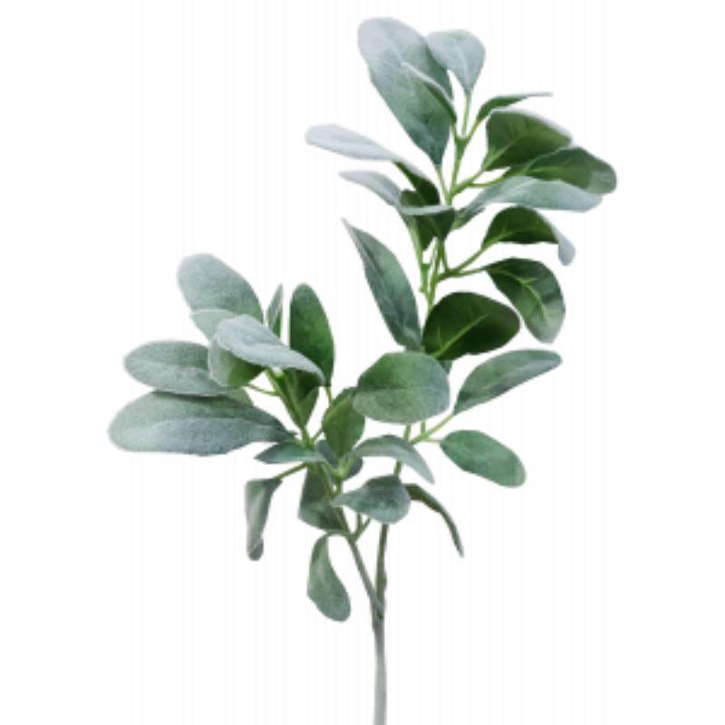 Lambs Ear Spray - 71cm