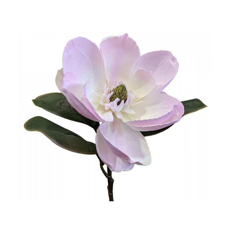 Pink Magnolia on Stem - 73cm x 23cm