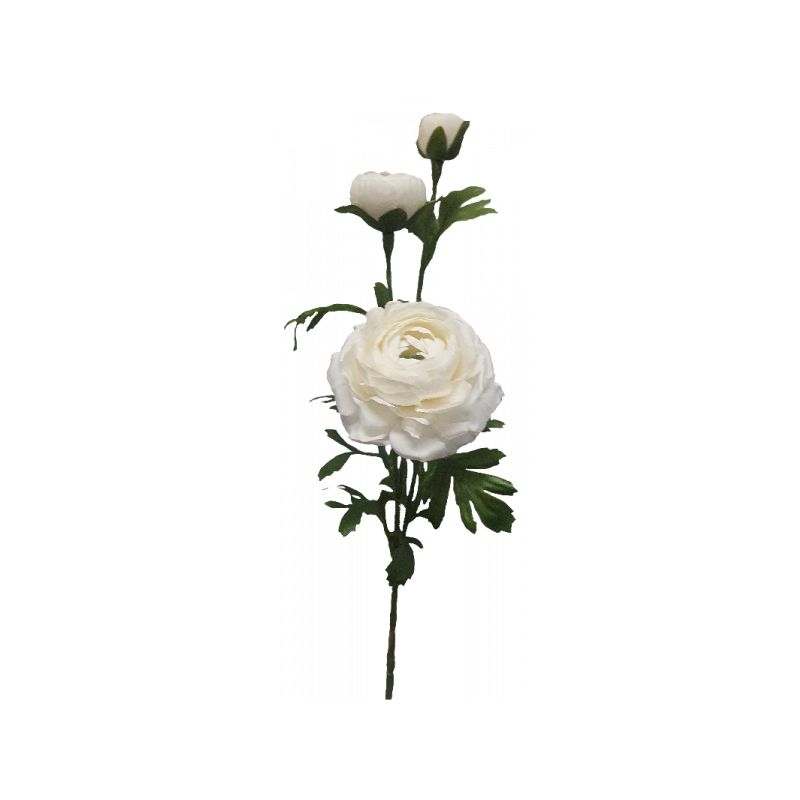 White Ranunculus Spray by 3 - 71cm x 19cm