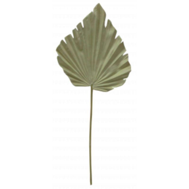 Beige Palm Leaf - 61cm