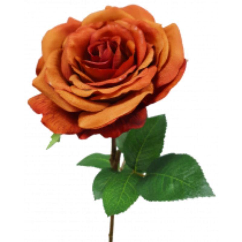 Copper Sienna Rose - 63cm