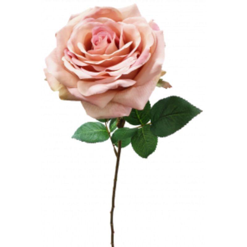 Dark Pink Sienna Rose - 63cm