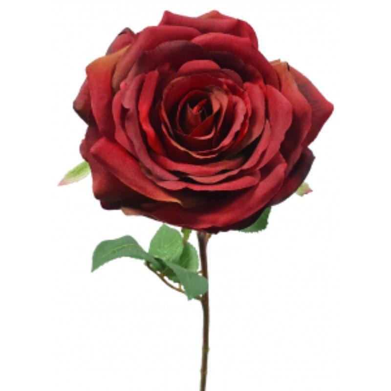 Dark Red Sienna Rose - 63cm