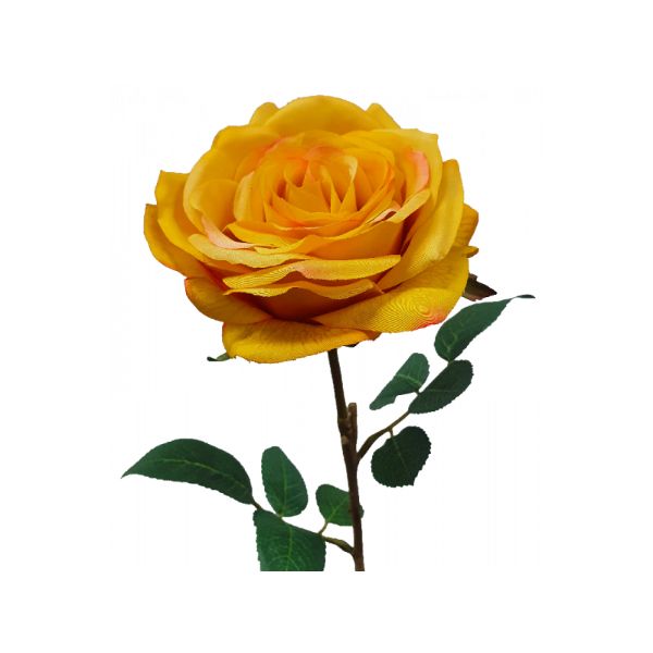 Yellow Mustard Sienna Rose - 63cm