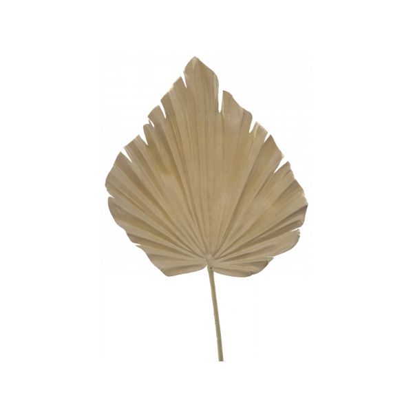 Dark Beige Palm Leaf - 61cm