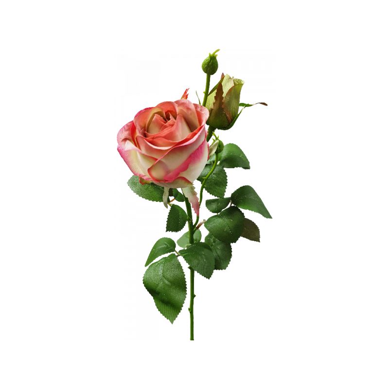 Light Pink Opening Rose with Rosebud - 65cm x 15cm