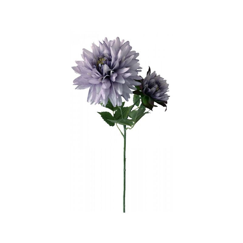 Lavender Dahlia by 2 One Large One Opening - 60cm x 18cm