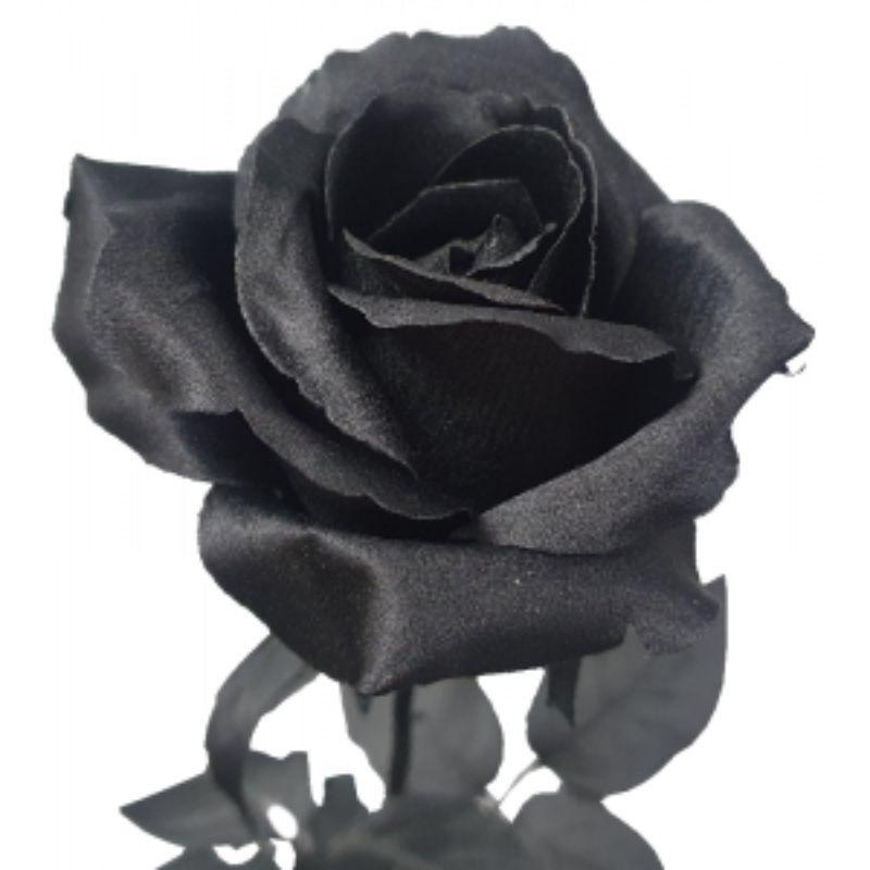 Black Ecuador Rose - 67cm