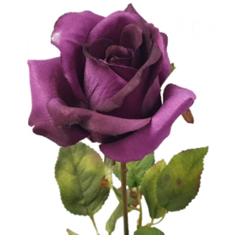 Purple Ecuador Rose - 67cm