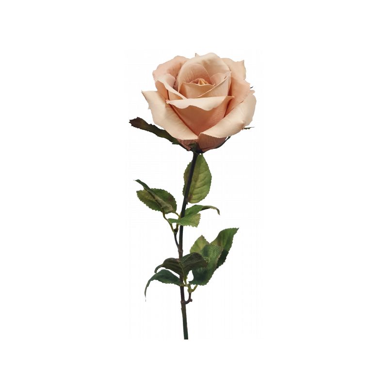 Long Stem Flesh Pink Rose - 67cm x 23cm