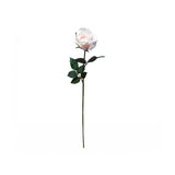 Load image into Gallery viewer, Light Pink Ecuadorian Rose - 67cm x 23cm
