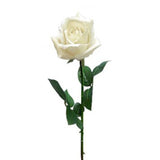 Load image into Gallery viewer, White Ecuador Rose - 67cm

