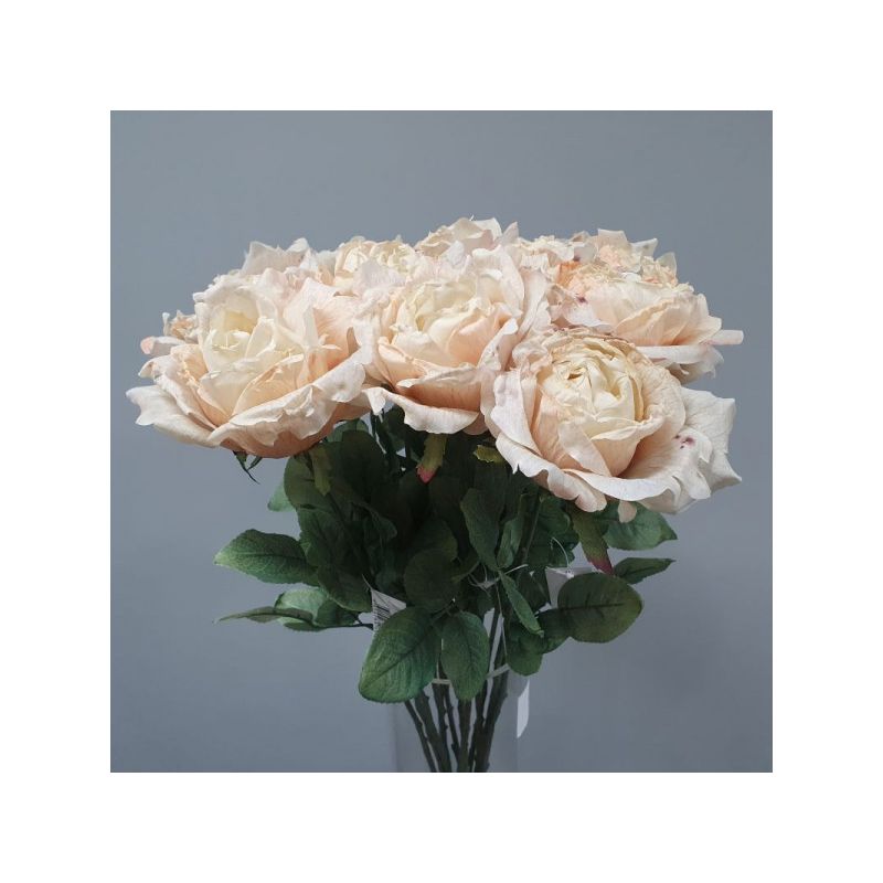 Cream Dried Rose - 72cm x 20cm - one single rose