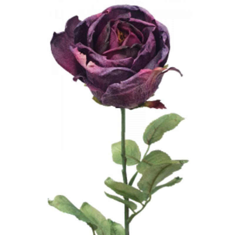 Purple Dried Rose - 20cm x 71cm