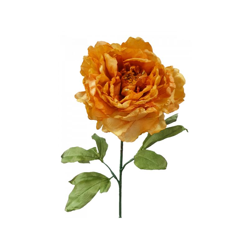 Yellow Dried Peony Stem - 81cm