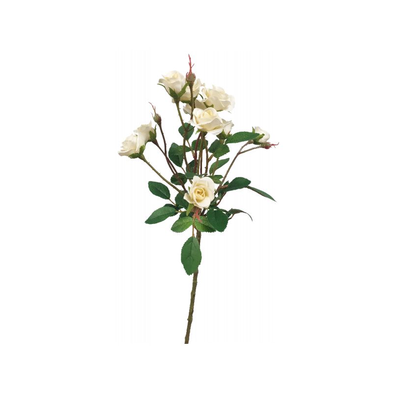 Vanilla Mini Rose Spray by 10 - 25cm x 18cm