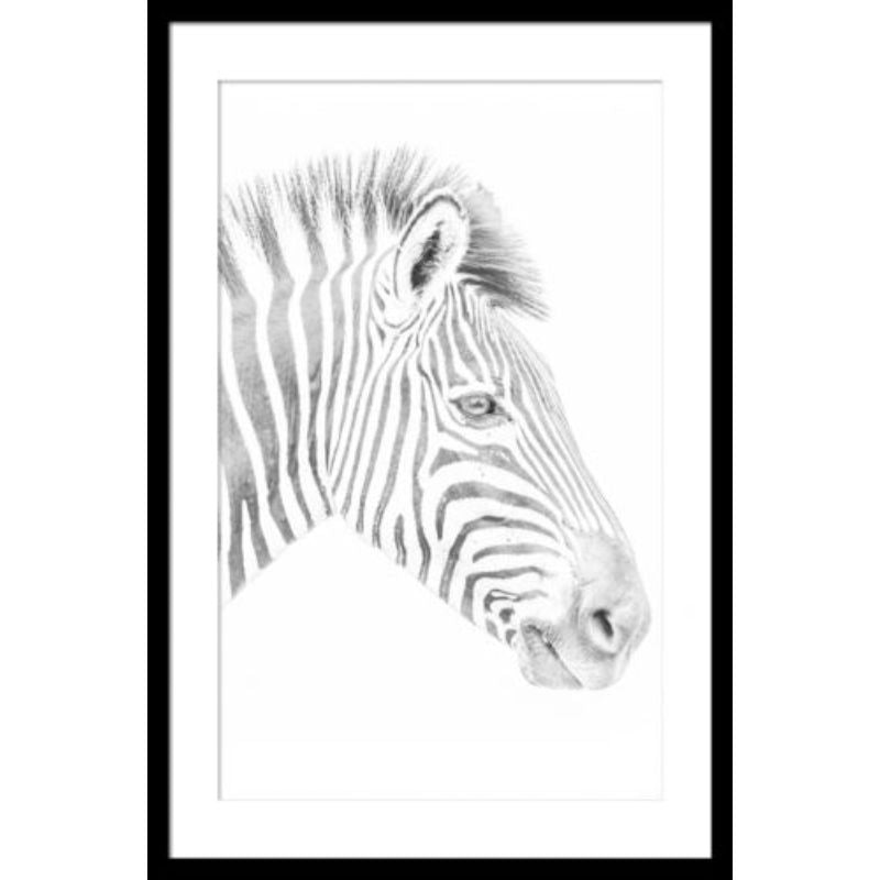 Zebra Black Frame - 60cm x 90cm x 4cm