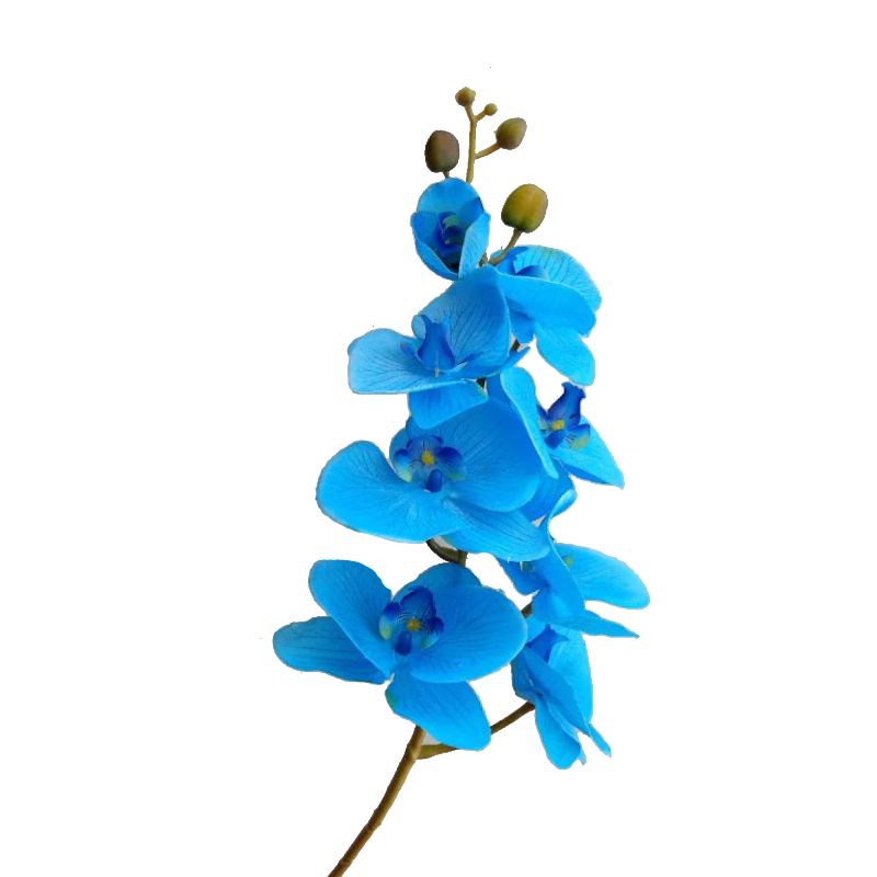 Real Touch Blue Phalaenopsis Orchid 7 Flowers one Bud - 100cm x 19cm
