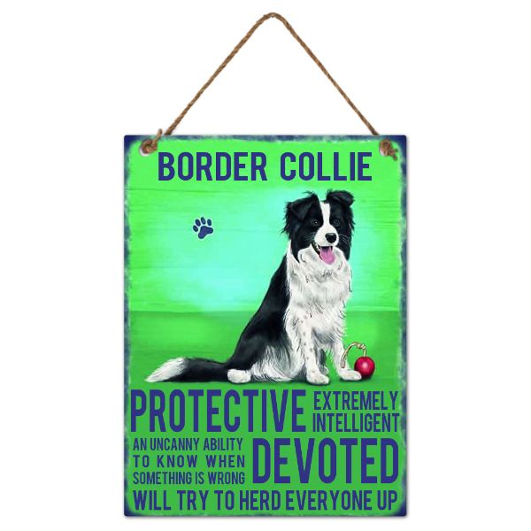 Metal Border Collie Wall Hanging Sign - 20cm x 27cm