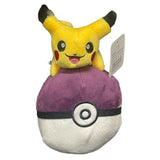 Load image into Gallery viewer, Pokemon Plush Toy - 20cm
