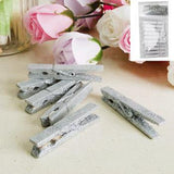 Load image into Gallery viewer, 10 Pack Glitter Silver Peg - The Base Warehouse
