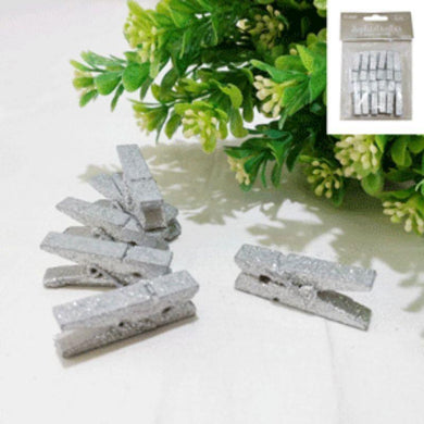 12 Pack Glitter Silver Pegs - The Base Warehouse