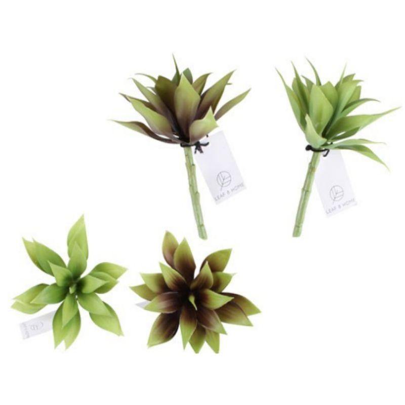 Flint Cantury Succulent - 17cm - The Base Warehouse