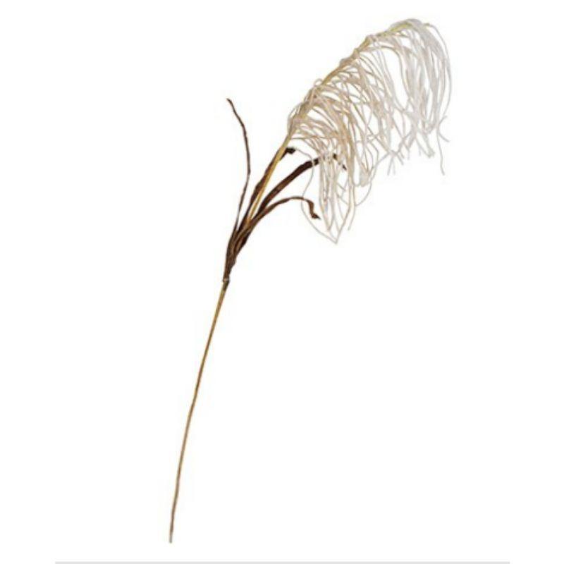 White Reed Spray - 90cm - The Base Warehouse