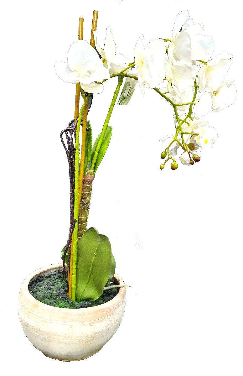 Artificial Real Touch Orchid in Pot - 60cm - The Base Warehouse