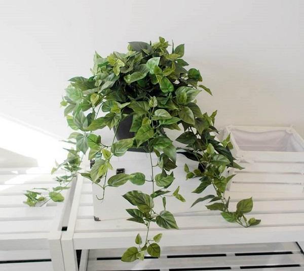 Artificial Ivy Plant - The Base Warehouse