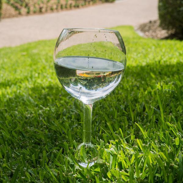 The Magic Crystal Clear Wine Glass - The Base Warehouse