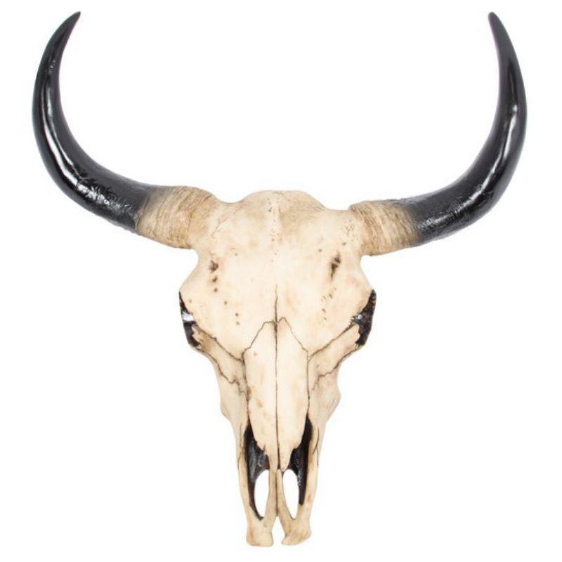 Cow Skull Wall Hanger - 44cm - The Base Warehouse
