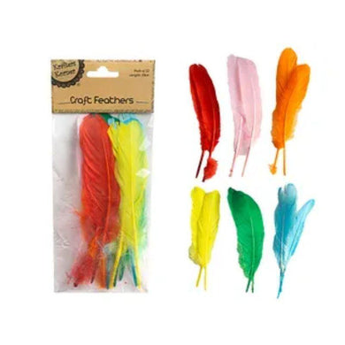 12 Pack Mixed Colour Feathers - 19cm - The Base Warehouse