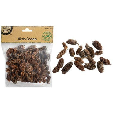 Birch Cones - 40g - The Base Warehouse