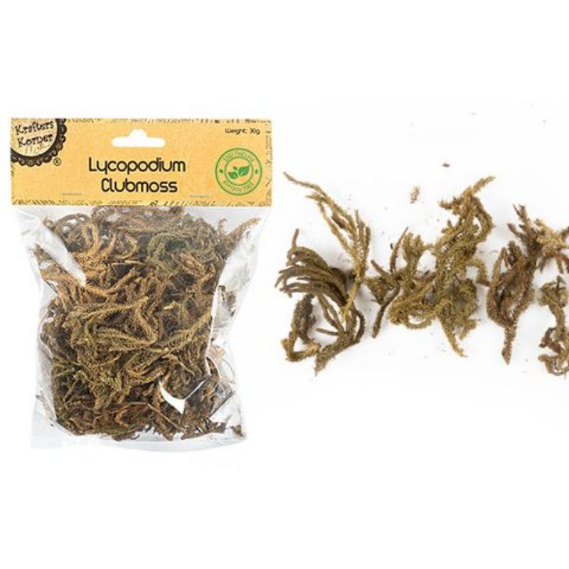 Natural Lycopodium Clubmoss - 20g