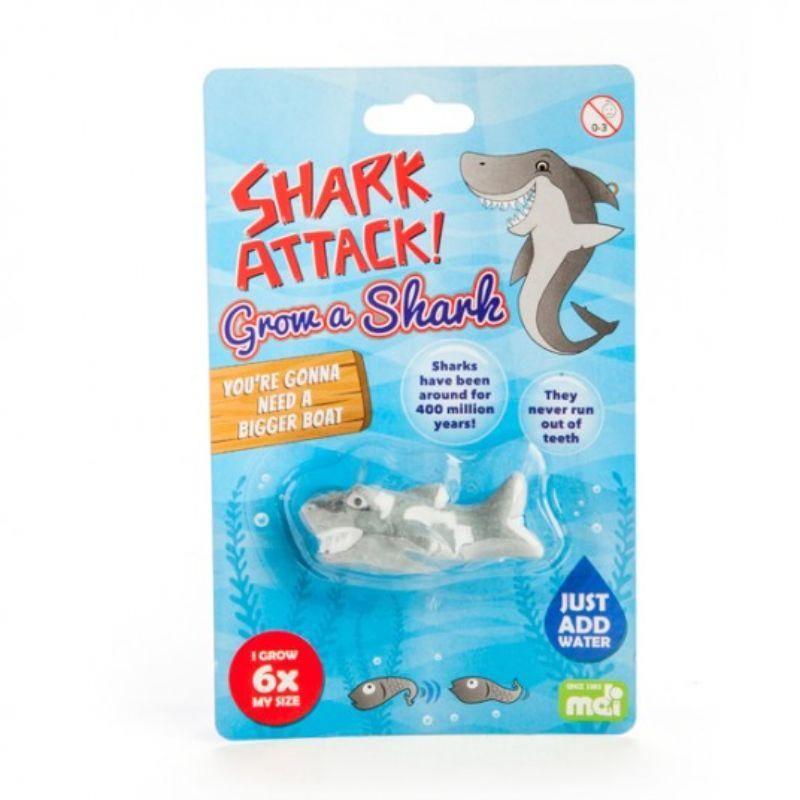 Grow a Shark - 6.5cm - The Base Warehouse