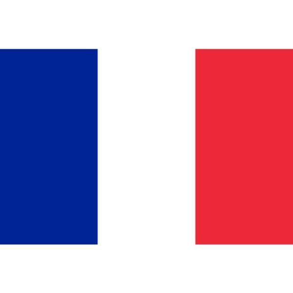 Flag of France - The Base Warehouse