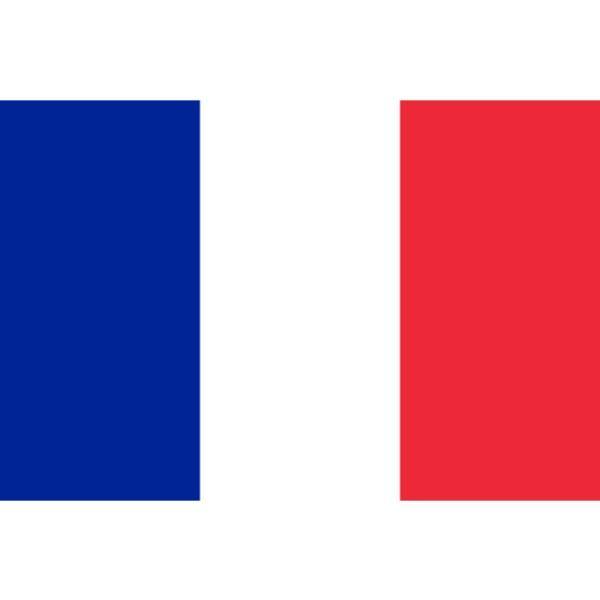 Flag of France - The Base Warehouse