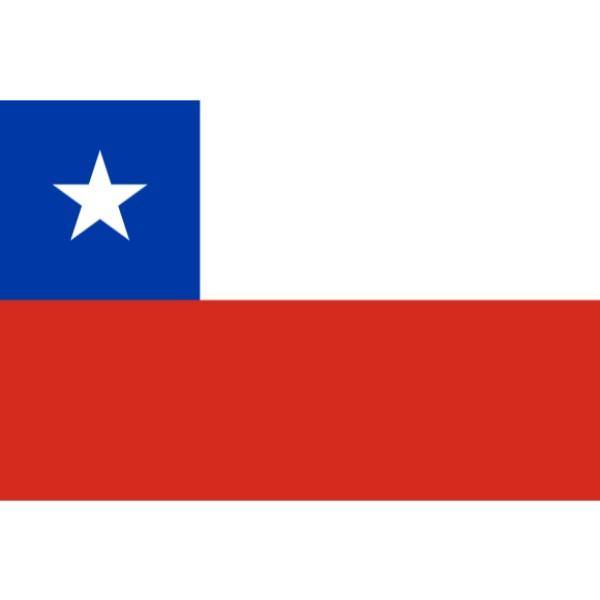 Flag of Chile - The Base Warehouse