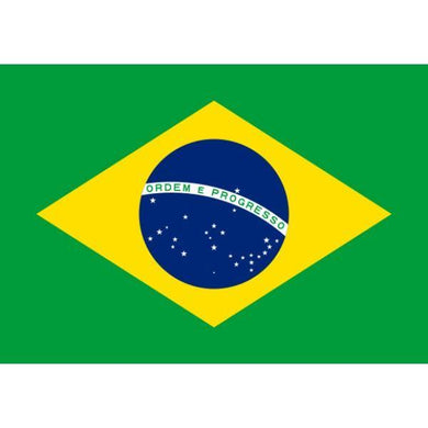 Flag of Brazil - The Base Warehouse