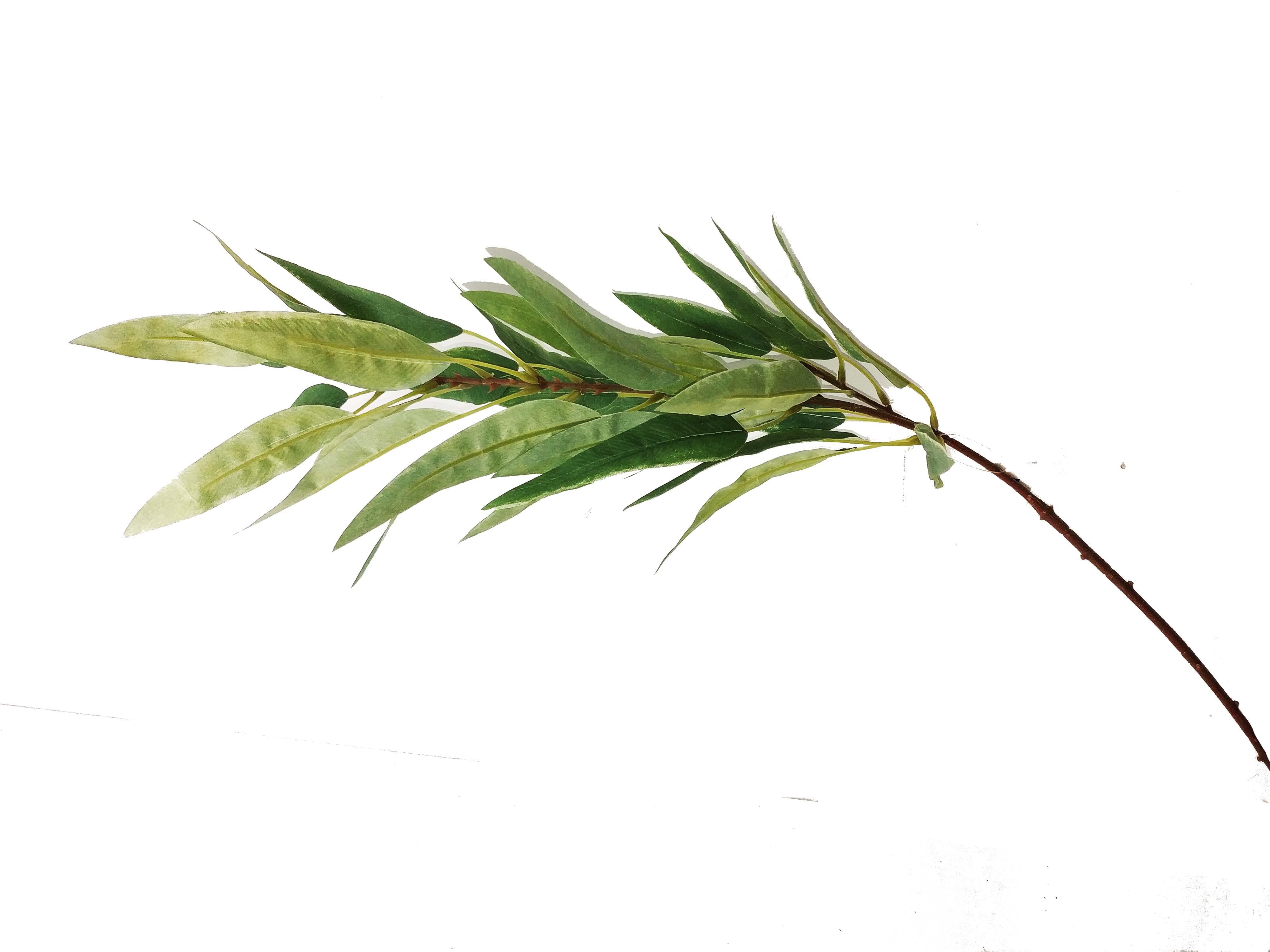 Long Narrow Green Leaves - The Base Warehouse