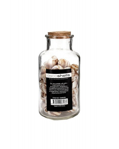 Bottled Decorative Seashells - 120g