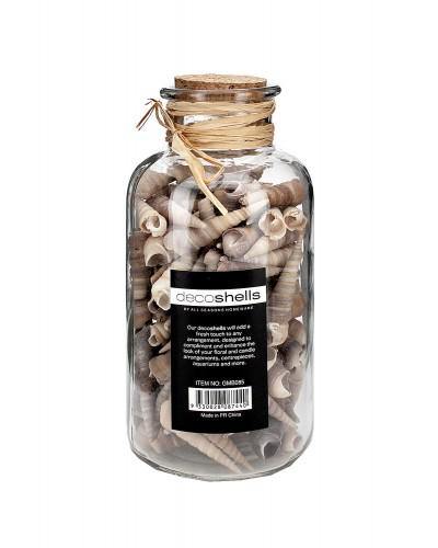 Bottled Decorative Seashells - 550g