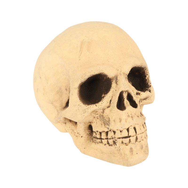 Jumbo Foam Skull - The Base Warehouse